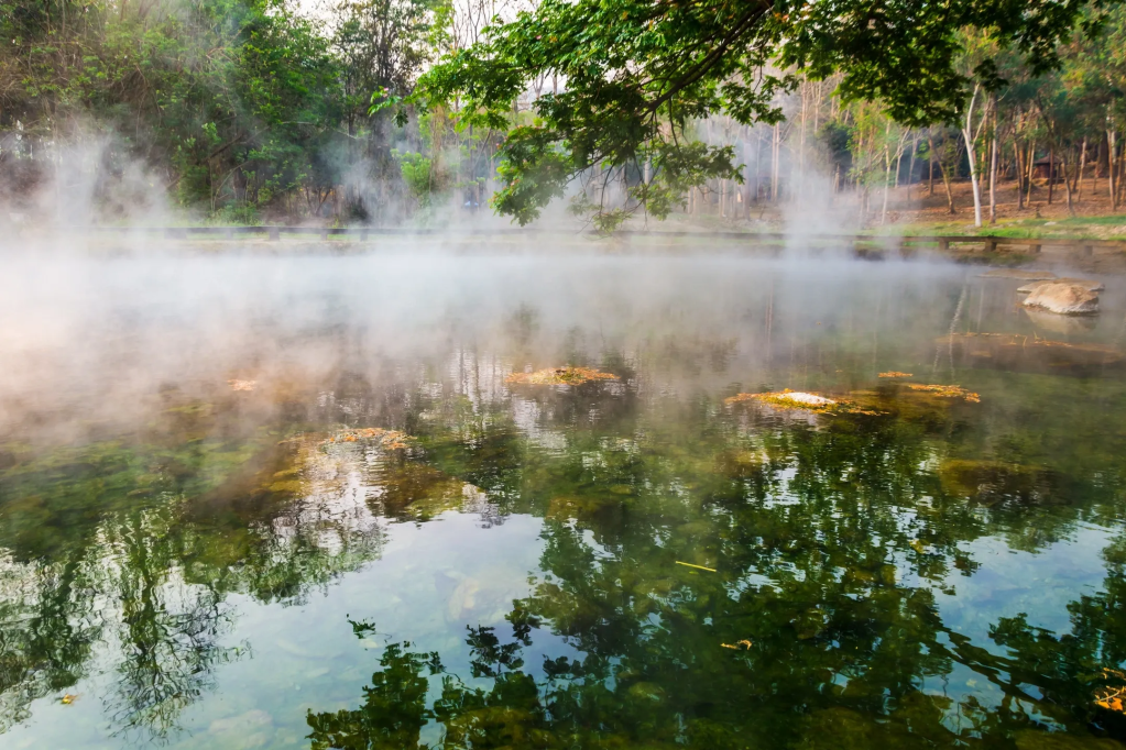 Gift Ideas for Fans of Avatar The Last&nbsp;Airbender