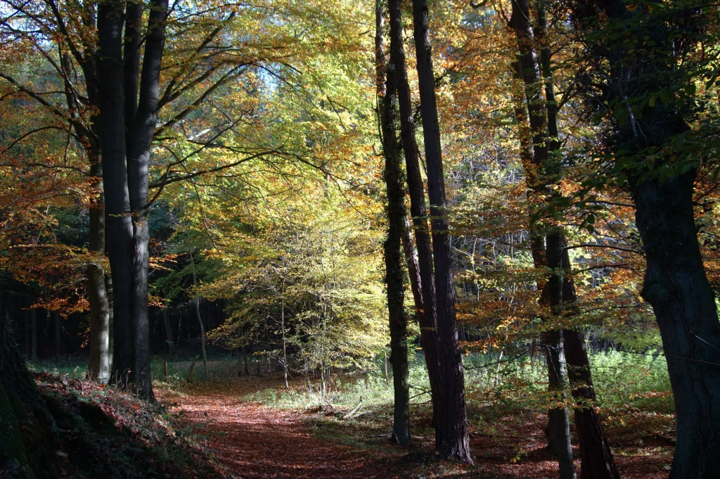 Top Gifts for Gamers who Love Legend of&nbsp;Zelda